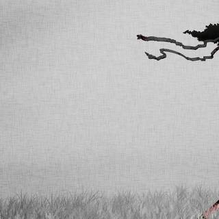 Black and white anime samurai wallpaper