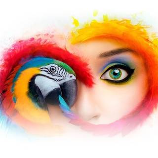 Adobe Creative Cloud wallpaper