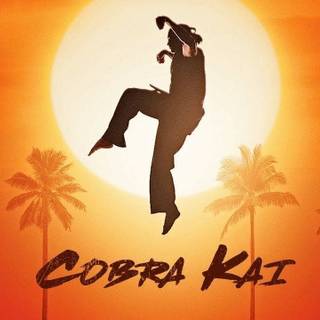 Cobra Kai desktop wallpaper
