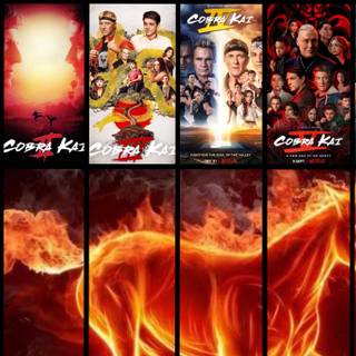 Cobra Kai desktop wallpaper