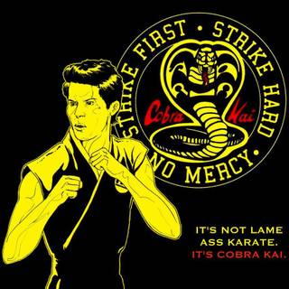 Cobra Kai desktop wallpaper