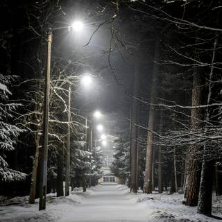 Night winter season wallpaper