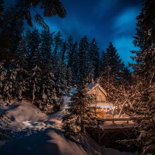 Night winter season wallpaper