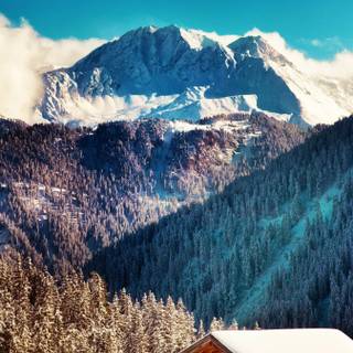 Winter house mobile wallpaper