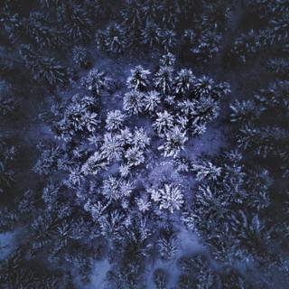 iPhone Norway winter wallpaper