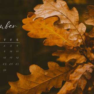 Autumn desktop design wallpaper