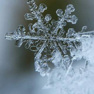 Winter iPad aesthetic wallpaper