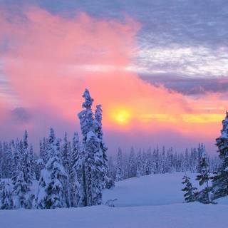 Snow aesthetic desktop wallpaper