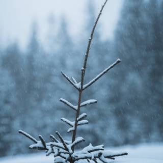 iPhone Norway winter wallpaper