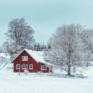 Winter house mobile wallpaper