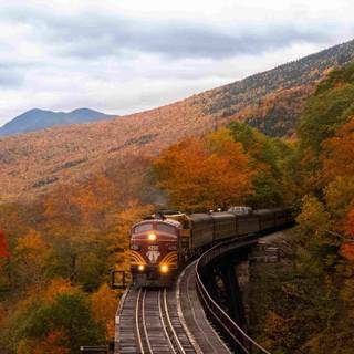 Train station autumn wallpaper