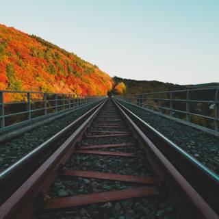 Train station autumn wallpaper