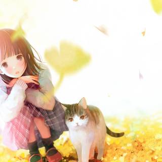 Autumn cat anime wallpaper