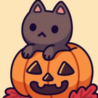 Cute autumn cat wallpaper