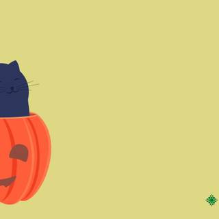 Cute autumn cat wallpaper