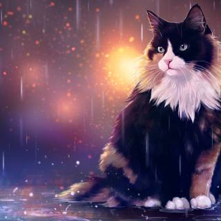 Cute autumn cat wallpaper