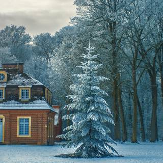 Winter house mobile wallpaper