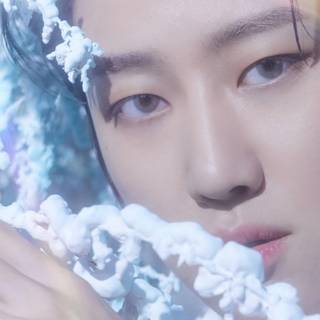 Seventeen 2024 laptop wallpaper