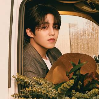 Seventeen 2024 laptop wallpaper