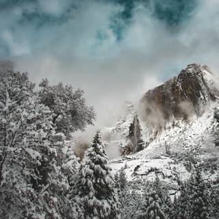 4k winter mobile wallpaper