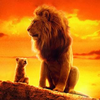 Cool lion 4k wallpaper