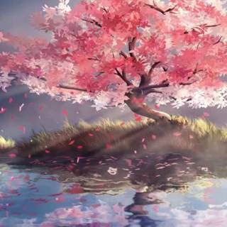 Blossom tree iPhone wallpaper