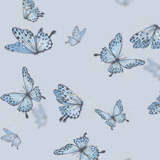 Blue butterfly phone wallpaper