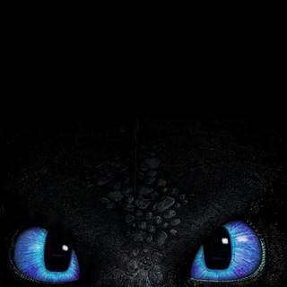 Night Fury phone wallpaper