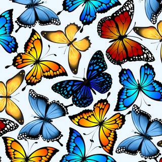 Blue butterfly phone wallpaper