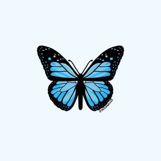Blue butterfly phone wallpaper