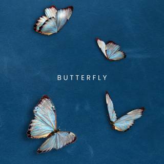 Blue butterfly phone wallpaper