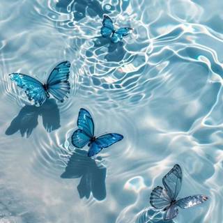 Blue butterfly phone wallpaper