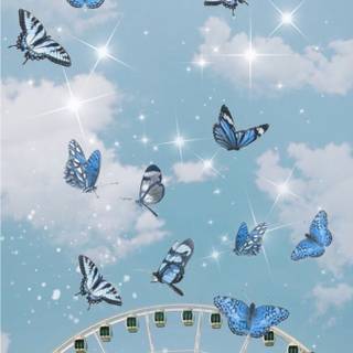 Blue butterfly phone wallpaper