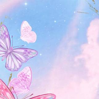 Star Butterfly wallpaper