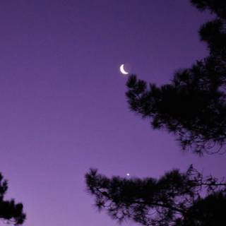 Moon aesthetic iPhone wallpaper