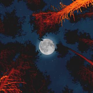 Moon aesthetic iPhone wallpaper