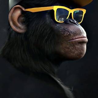 iPhone monkey wallpaper