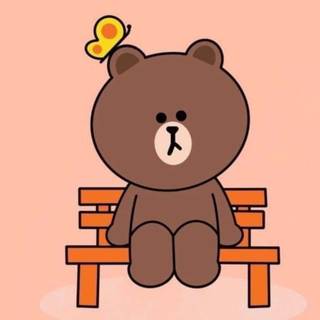 Teddy iPhone wallpaper