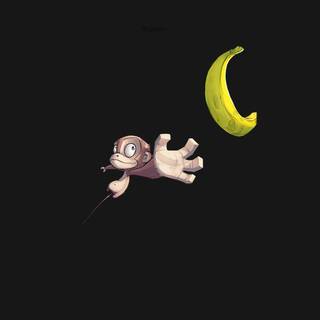 iPhone monkey wallpaper
