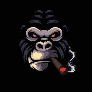 iPhone monkey wallpaper