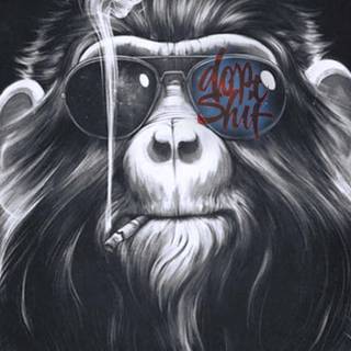 iPhone monkey wallpaper