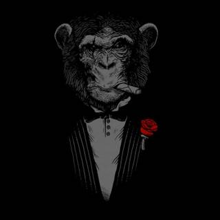 iPhone monkey wallpaper