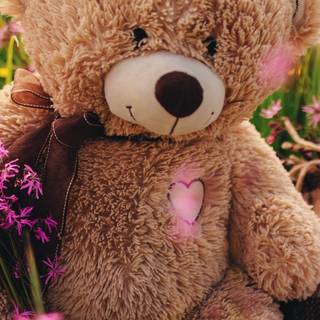 Teddy iPhone wallpaper
