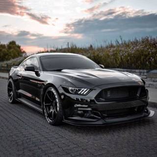 Black Mustang phone wallpaper