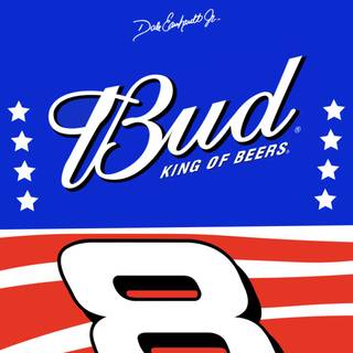 Dale Earnhardt iPhone wallpaper