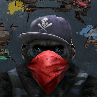 iPhone monkey wallpaper