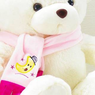 Teddy iPhone wallpaper