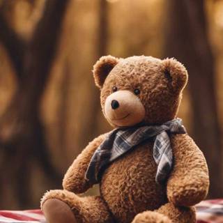 Teddy iPhone wallpaper