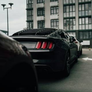 Black Mustang phone wallpaper