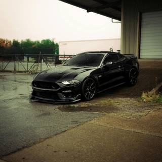 Black Mustang phone wallpaper